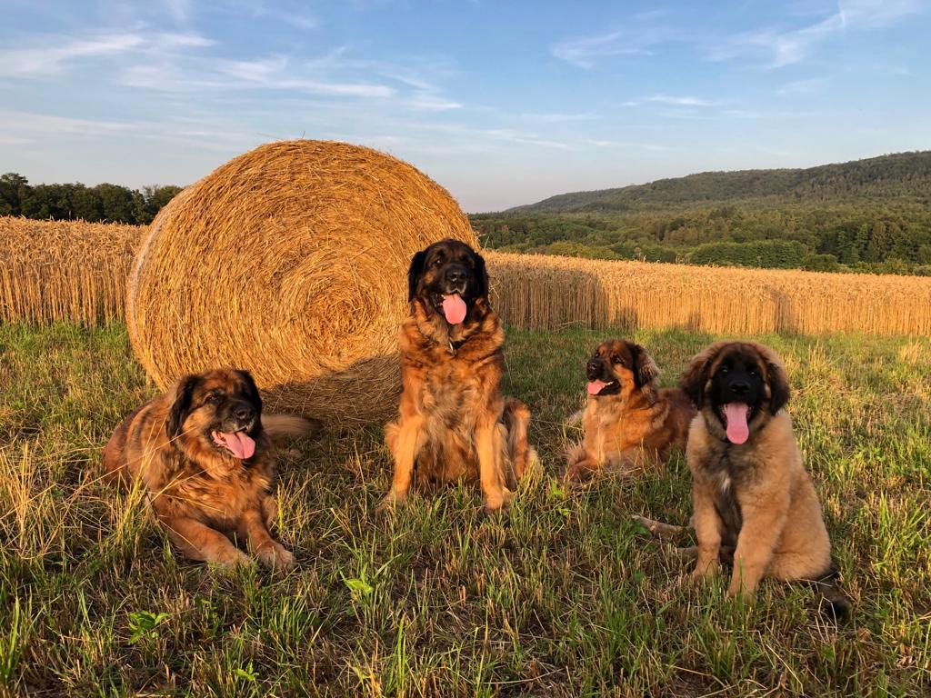 PHOTO-2019-07-16-22-34-13